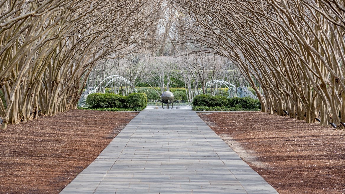 El Arboreto y Jardín Botánico es una parada obligatoria en una visita a Dallas.