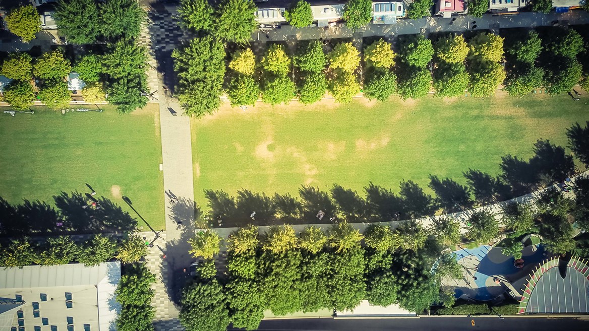 El Klyde Warren Park es un lugar ideal para hacer actividades y el lugar de reunión favorito de los habitantes de Dallas.