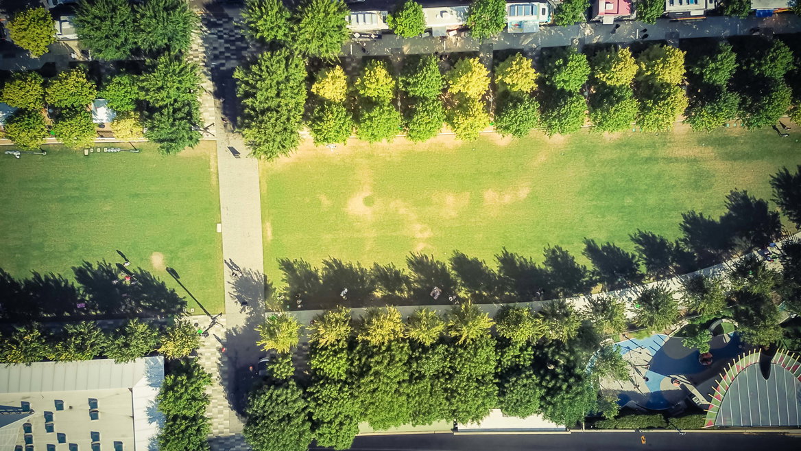 El Klyde Warren Park es un lugar ideal para hacer actividades y el lugar de reunión favorito de los habitantes de Dallas.