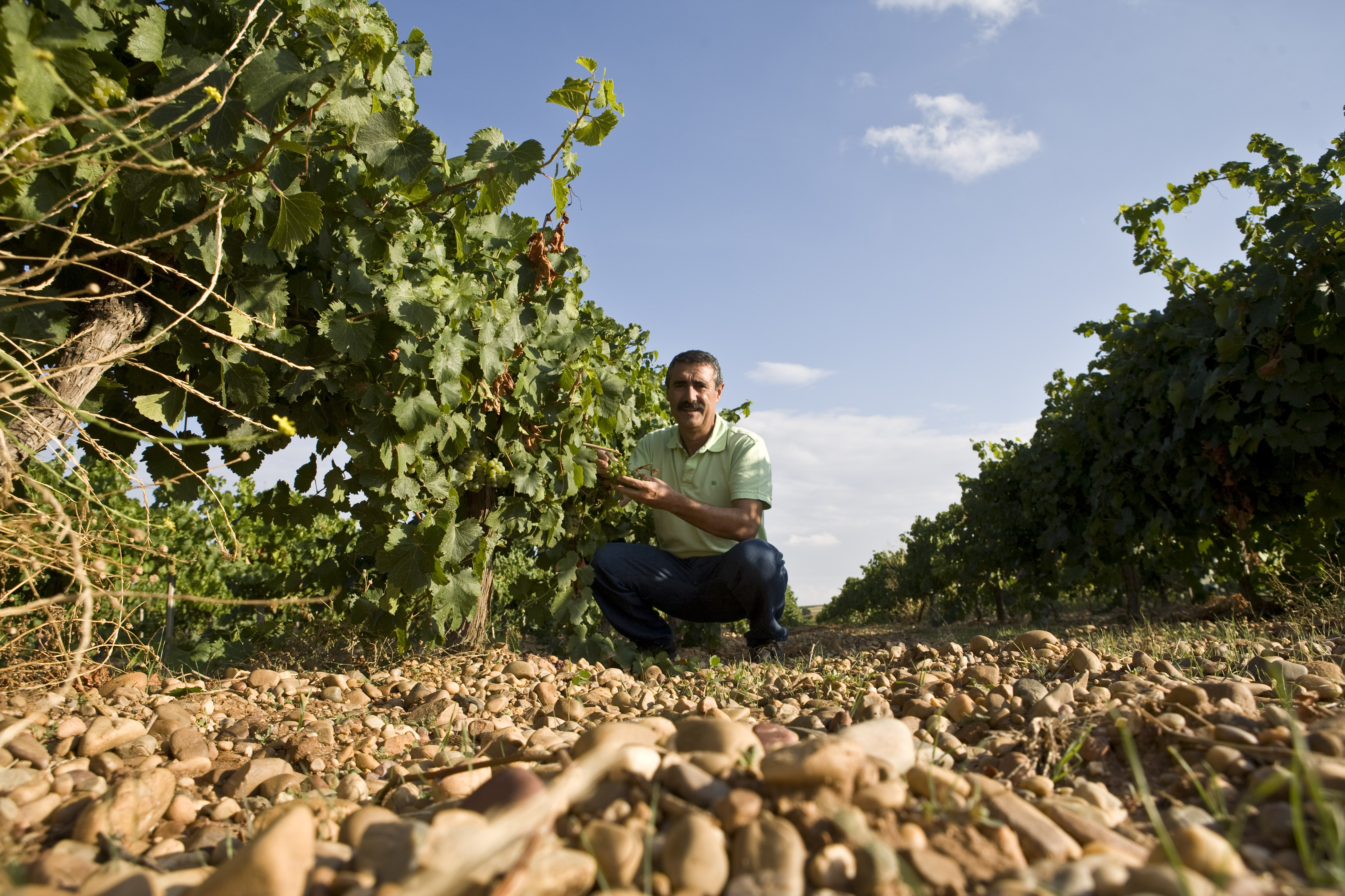 Although born in El Bierzo, José Antonio Merayo opened his Val de Vid winery in Rueda