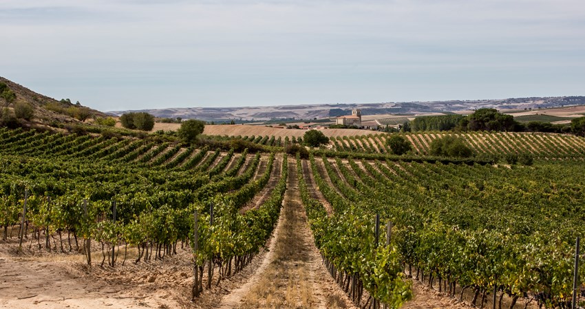 Bodegas Artero, just 80km from Madrid, in Noblejas, was created in 1940