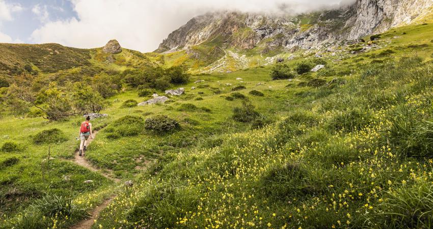 Picos de Europa in Cantabria