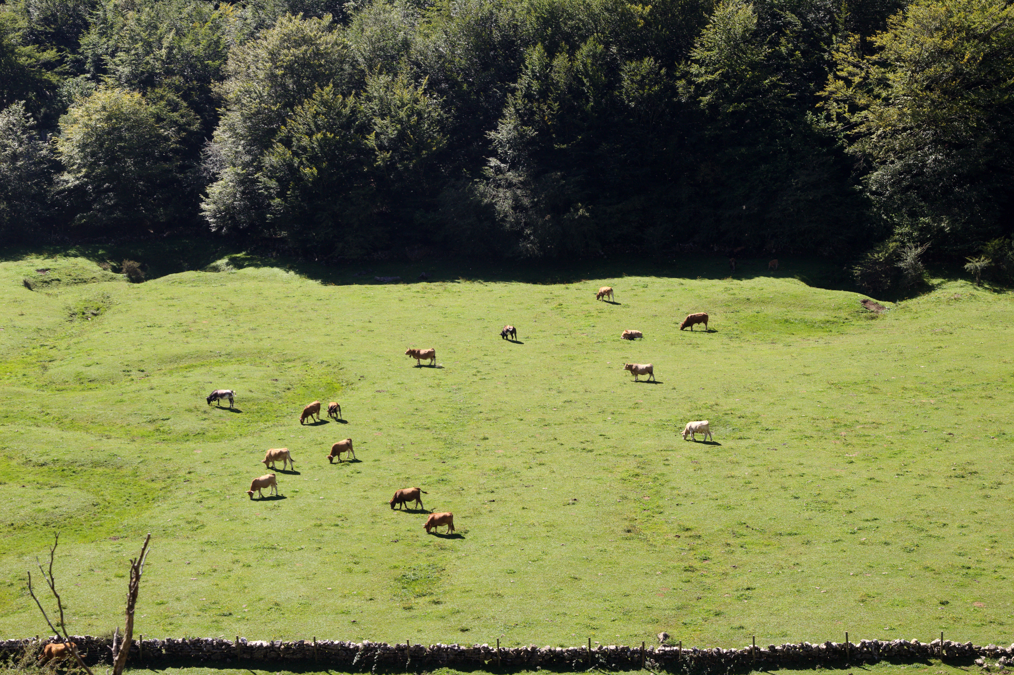 collados de ason natural park