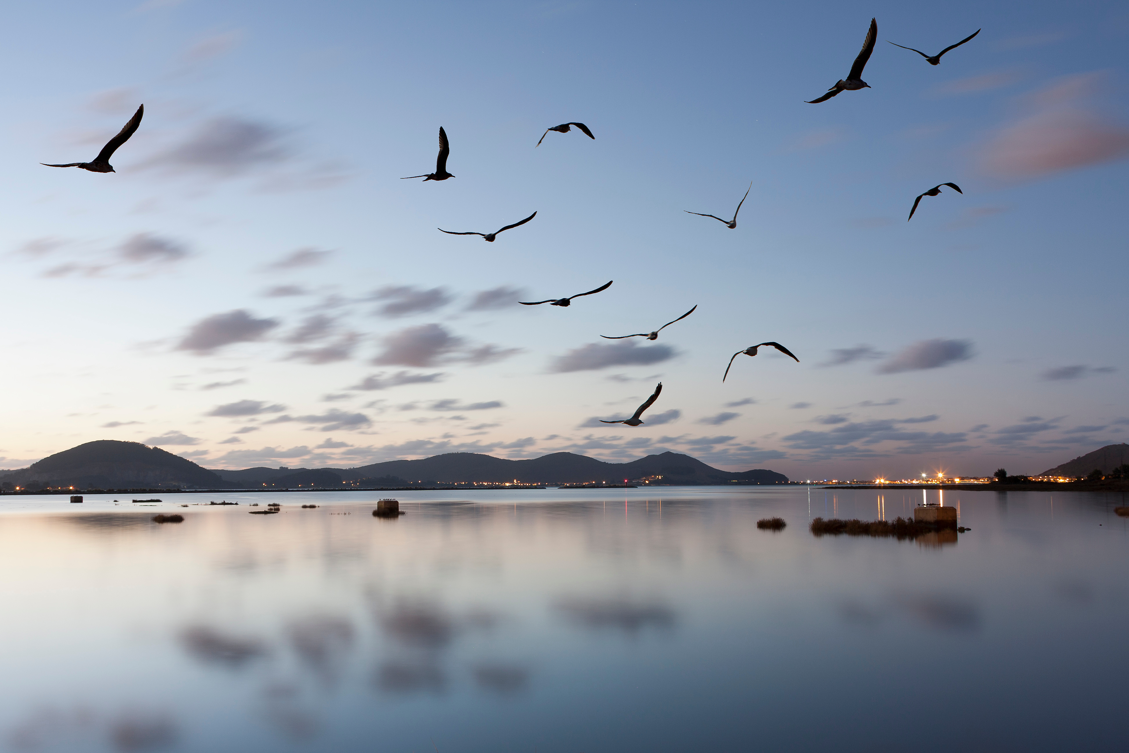 marismas de victoria y joyel