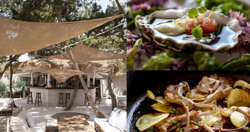 Casa Jondal and its dishes Oyster with herb oil, ginger lime and grapefruit and grilled suckling lamb chops in garlic
