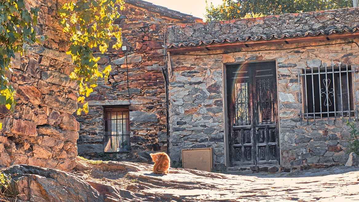 Patones' architecture is famous for the use of slate as the main construction element.