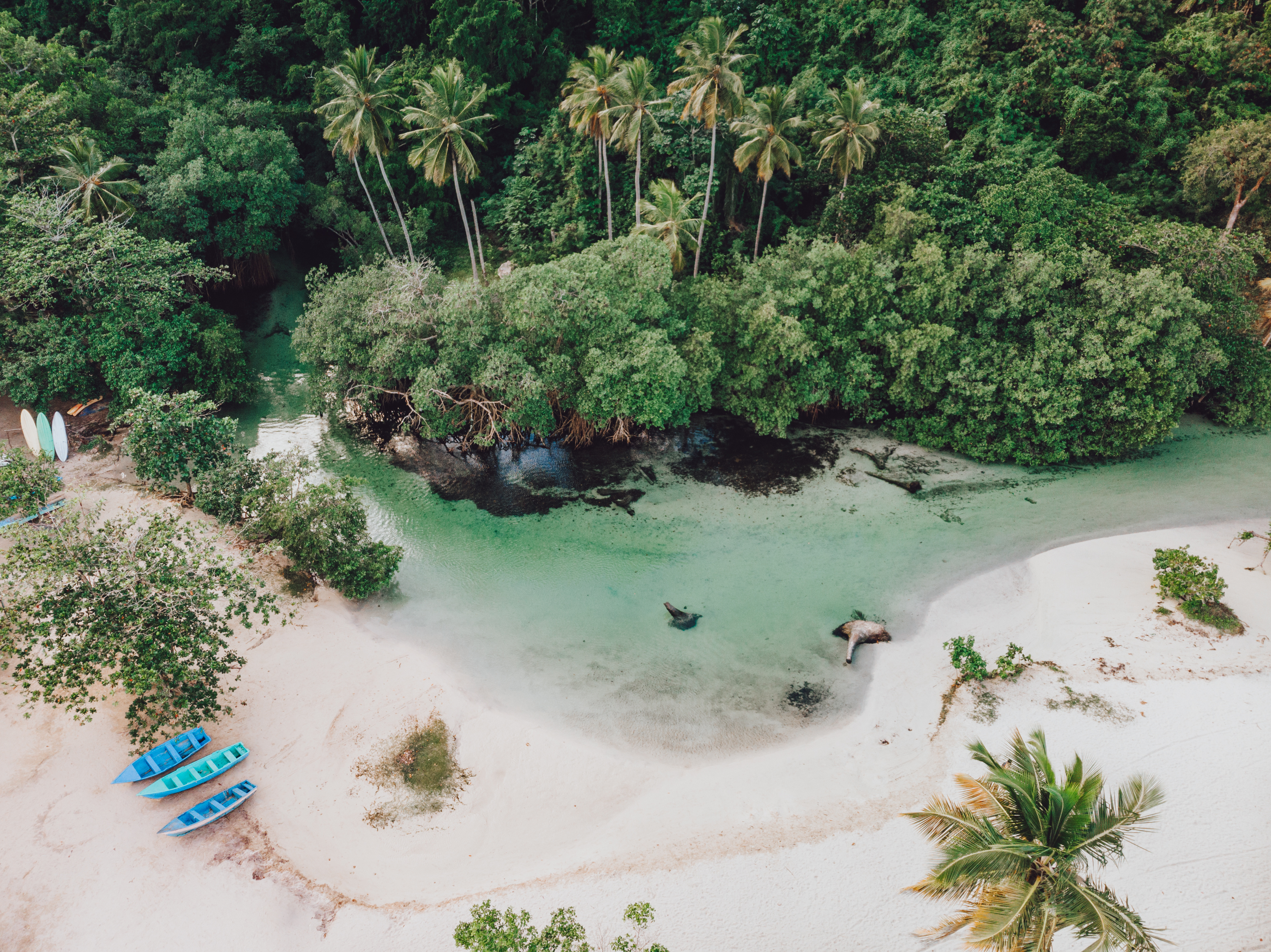 Samaná en República Dominicana