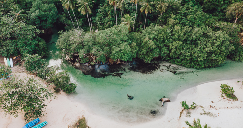 Samaná Bay in Dominican Republic