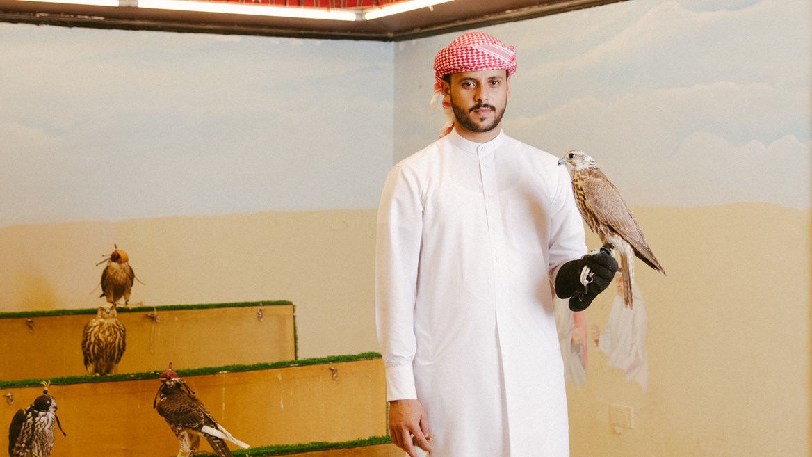 Falcon