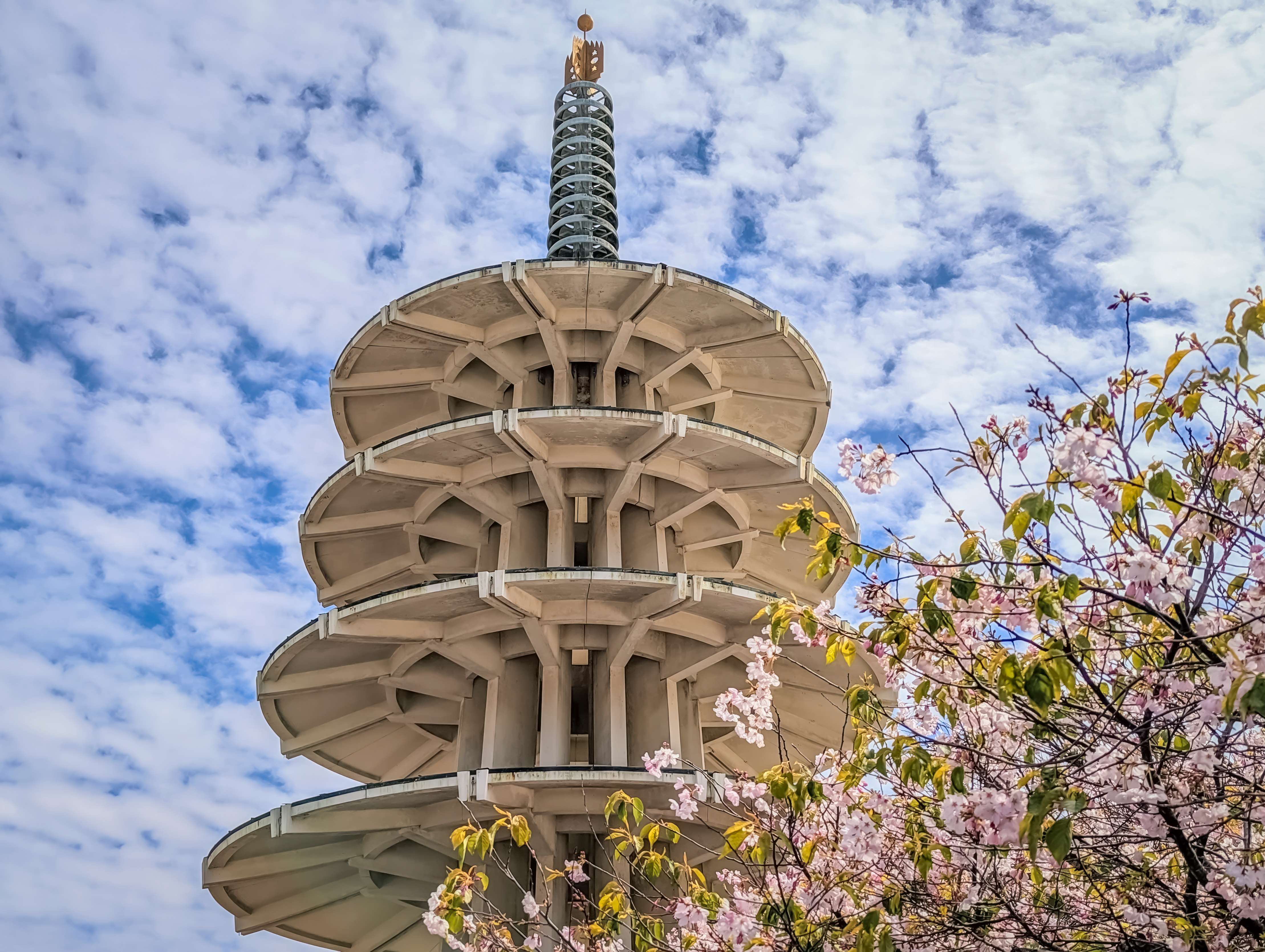 The Peace Pagoda with the cherry blossom trees