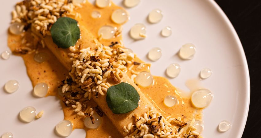 Presentation of one of the Iroko recipes based on rice in yellow tones