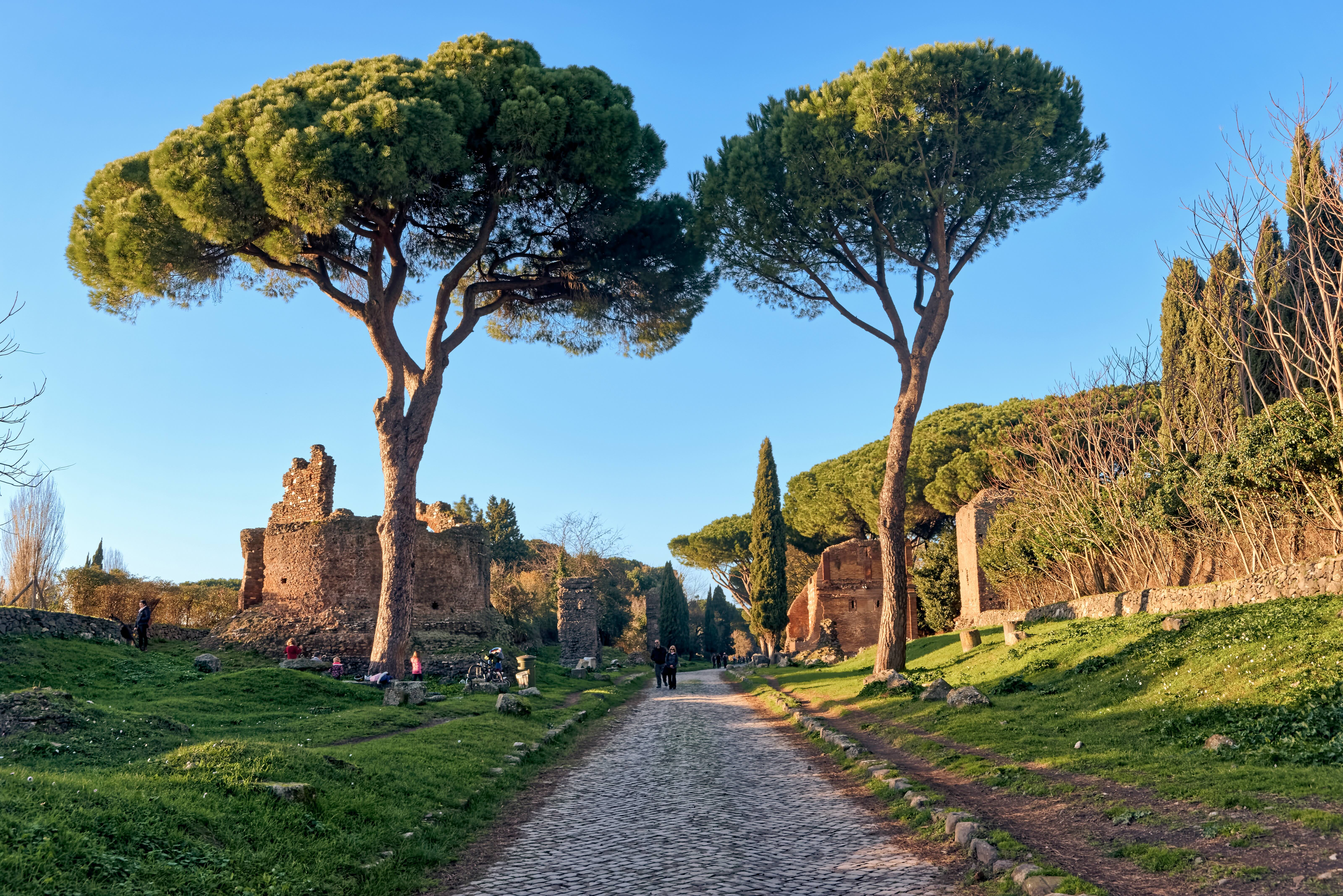 Vista de la calzada de teselas de la Via Appia, rodeada de naturaleza, con árboles y restos arqueológicos a sendos lados de la vía