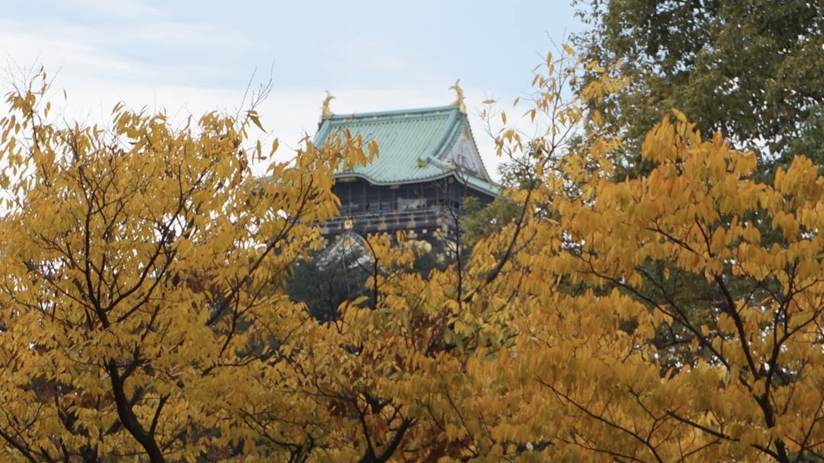 Osaka Castle contrasts with the scarlet Japanese autumn