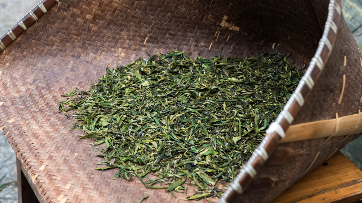 Although green tea has (theoretically) three harvest seasons (spring, summer and autumn)