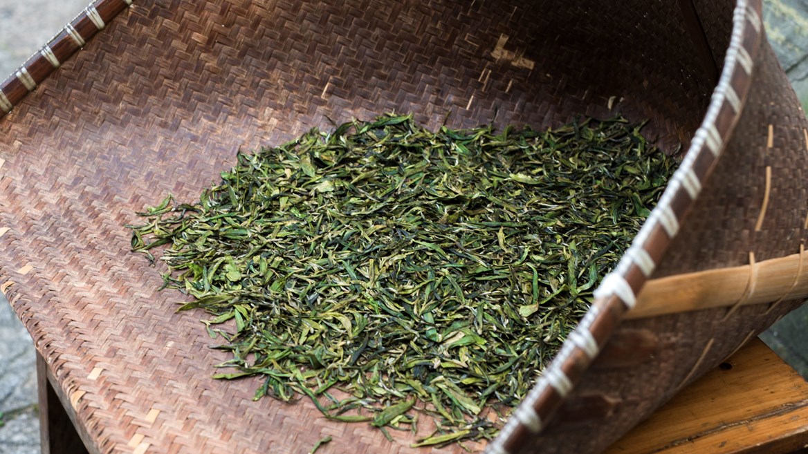Although green tea has (theoretically) three harvest seasons (spring, summer and autumn)