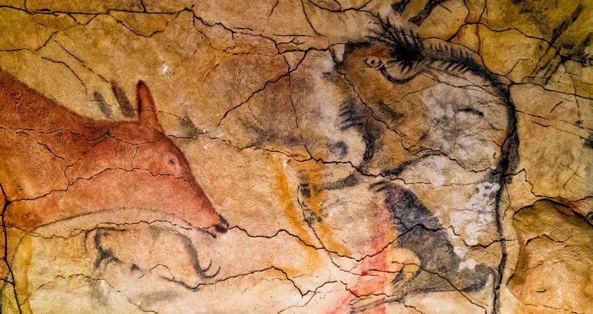 Bisons on the walls of Altamira